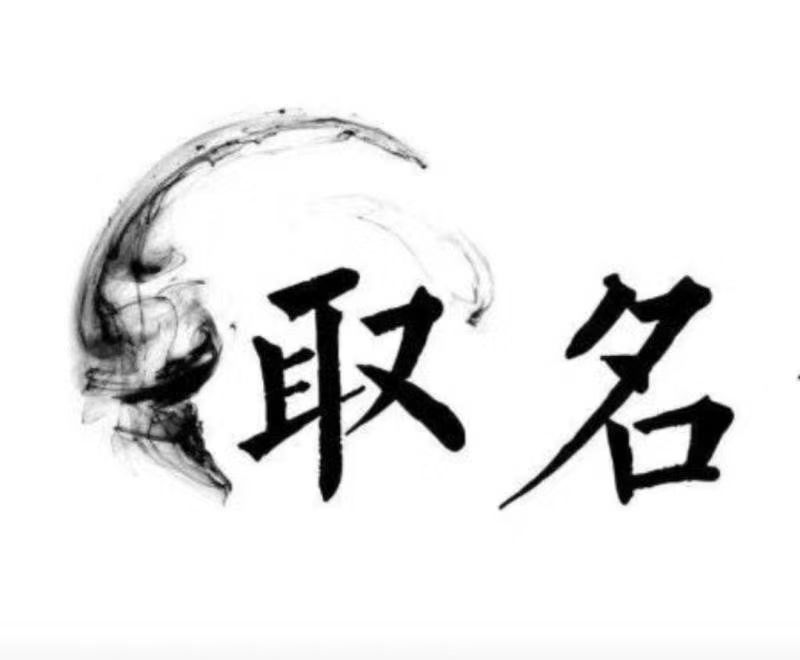  定陶宝宝取名 大师一对一人工起名